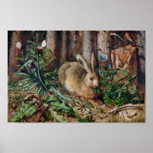 Ein Hase im Wald Poster (Vorne)