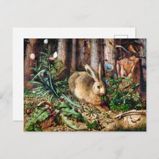 Ein Hase im Wald Postkarte (Vorne/Hinten)