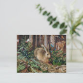 Ein Hase im Wald Postkarte (Stehend Vorderseite)