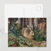 Ein Hase im Wald Postkarte (Vorne/Hinten)