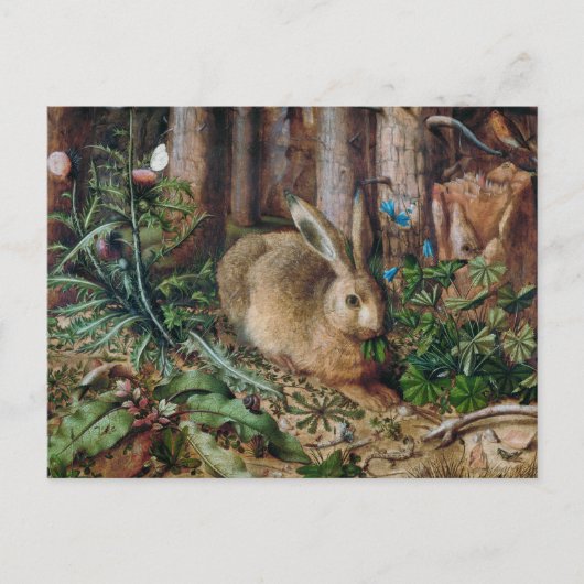 Ein Hase im Wald Postkarte (Vorderseite)