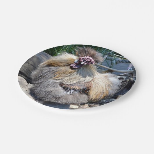 Ein hässliches, flauschiges Huhn, Pappteller (Schrägansicht)