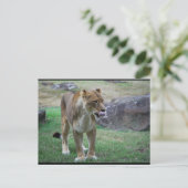 Ein Hauch der Wildnis Postkarte (Stehend Vorderseite)
