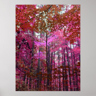 Ein Hauch von Rosa Poster