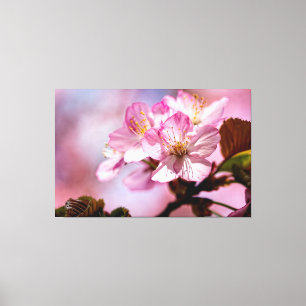 Ein Haufen atemberaubender Sakura-Blüten in rosa F Leinwanddruck