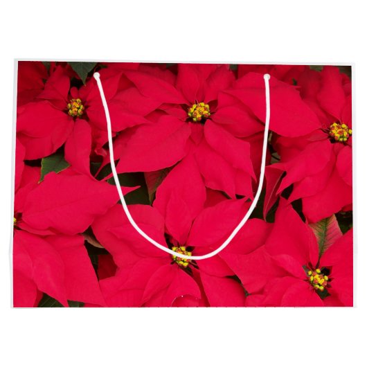 Ein Haufen farbenfroher Weihnachtspoinsettias Große Geschenktüte (Rückseite)