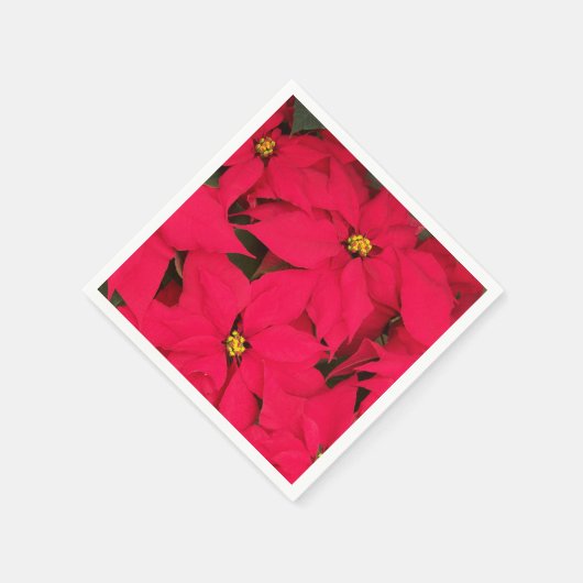 Ein Haufen farbenfroher Weihnachtspoinsettias Serviette (Ecke)