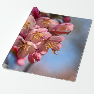 Ein Haufen süßer Kirschblüten aus Sakura Geschenkpapier