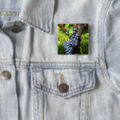 Ein Haufen Traubenreste auf einem Weinstock mit Button (Beispiel)