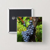 Ein Haufen Traubenreste auf einem Weinstock mit Button (Vorne & Hinten)