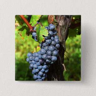 Ein Haufen Traubenreste auf einem Weinstock mit Button