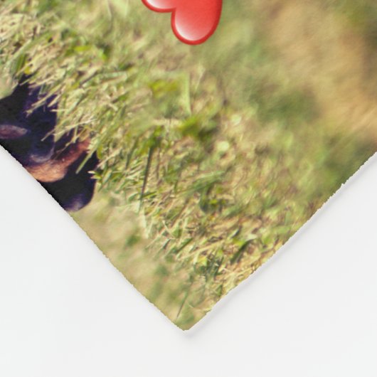 Ein Haus, das keine Zuhause-Dackel ist Fleecedecke (Ecke)