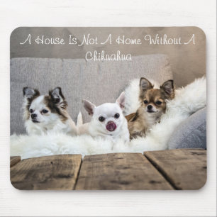 Ein Haus ist keine Zuhause ohne Chihuahua-Mousepad Mousepad