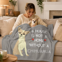 Ein Haus kein Zuhause-Chihuahua-Hund