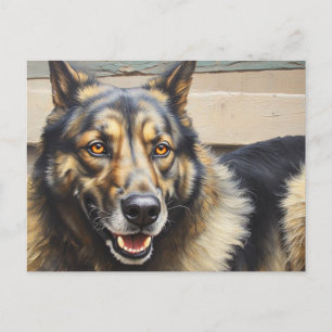 Ein Haushund schaut vertrauensvoll in die Kamera. Postkarte