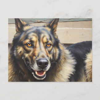 Ein Haushund schaut vertrauensvoll in die Kamera. Postkarte