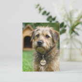 Ein Haustier adoptieren Postkarte (Stehend Vorderseite)