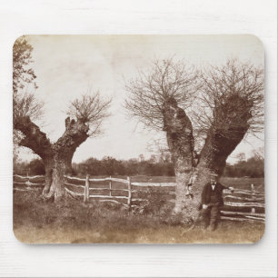 Ein hedgerow-Baum, 1852 (Albumendruck) Mousepad