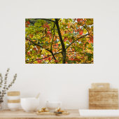 Ein heikler Übergang vom Herbst hinterlässt Poster (Küche)