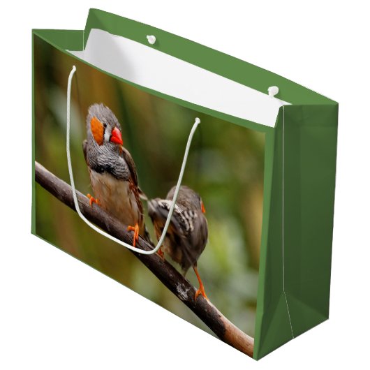 Ein heikles Paar Zebra Finches Große Geschenktüte (Vorderseite Schrägansicht)