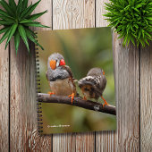 Ein heikles Paar Zebra Finches Notizblock