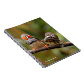 Ein heikles Paar Zebra Finches Notizblock (Rechte Seite)