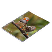 Ein heikles Paar Zebra Finches Notizblock (Linke Seite)