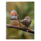 Ein heikles Paar Zebra Finches Notizblock (Vorderseite)