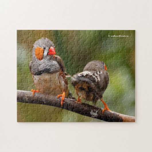 Ein heikles Paar Zebra Finches Puzzle (Horizontal)