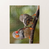 Ein heikles Paar Zebra Finches Puzzle (Vertikal)