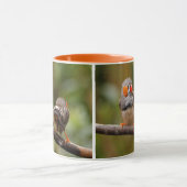 Ein heikles Paar Zebra Finches Tasse (Zentrum)