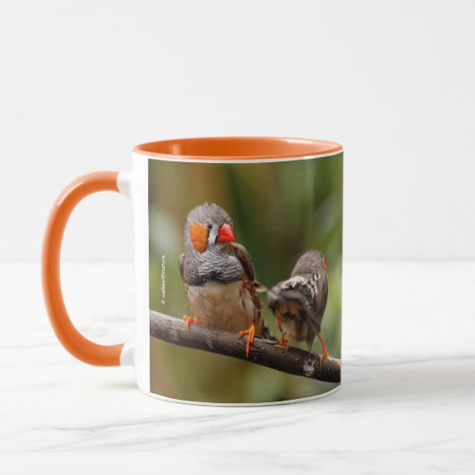 Ein heikles Paar Zebra Finches Tasse (Links)