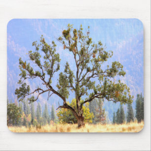 Ein heiliger Tag im Tal... Mousepad