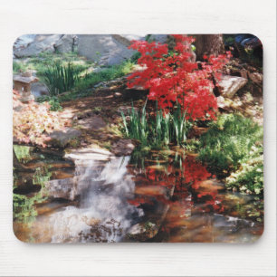 Ein Heilplatz Mousepad