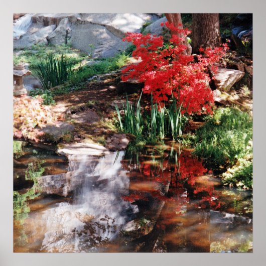 Ein Heilplatz Poster (Vorne)