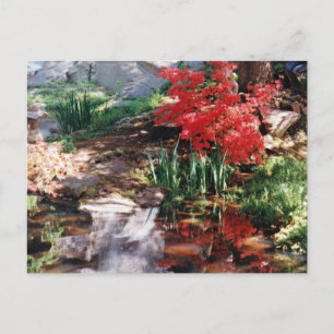 Ein Heilplatz Postkarte