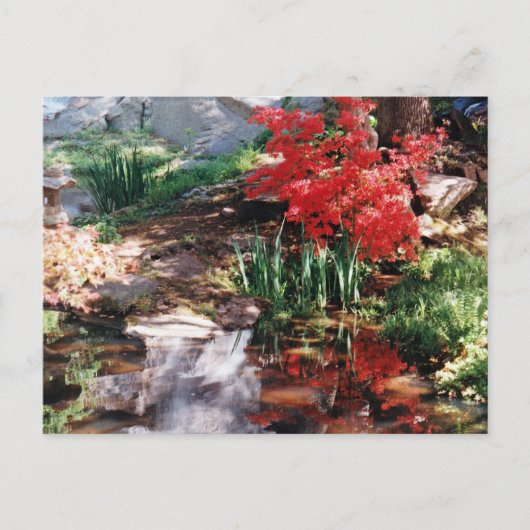 Ein Heilplatz Postkarte (Vorderseite)