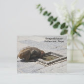 Ein heißer Drink in Swayambhunath Postkarte (Stehend Vorderseite)