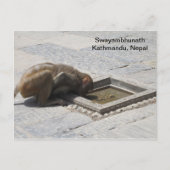 Ein heißer Drink in Swayambhunath Postkarte (Vorderseite)