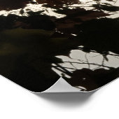 Ein heller Ort in einem dunklen Wald Poster (Ecke)