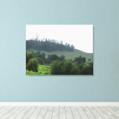 Ein heller Patch für die Leinwand (Insitu (Holzboden))