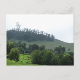 Ein heller Patch Upcountry Postcard Postkarte