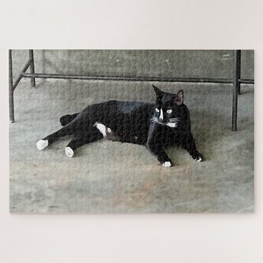Ein herausragendes Puzzle-Puzzle mit Tuxedo Puzzle (Horizontal)