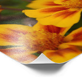 Ein Herbstnachmittag im Garten. Fotodruck (Ecke)