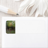 Ein HerbstStroll (Insitu)