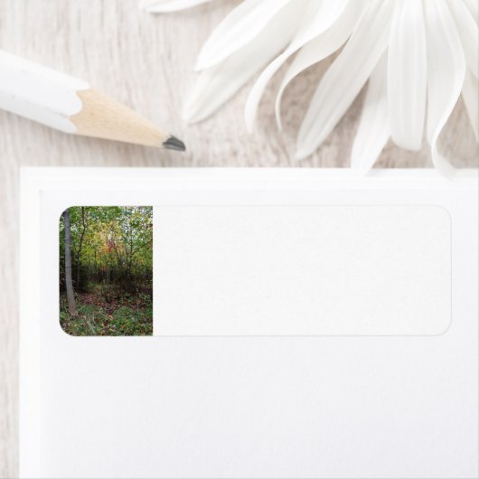 Ein HerbstStroll (Insitu)