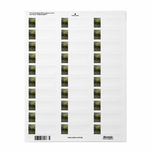 Ein HerbstStroll (Vorne)