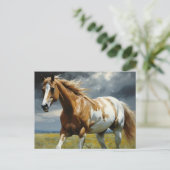 Ein herrliches Pinto Pferd auf der Wiese Postkarte (Stehend Vorderseite)
