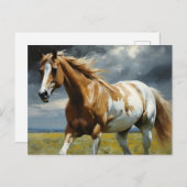 Ein herrliches Pinto Pferd auf der Wiese Postkarte (Vorne/Hinten)