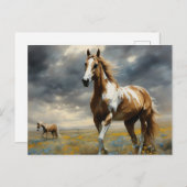 Ein herrliches Pinto Pferd Postkarte (Vorne/Hinten)